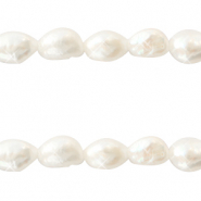 BQ Perle di acqua dolce pepita ovale 7x3mm bianco naturale