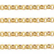 Componenti in acciaio inossidabile catena a rol&ograve; 2mm oro