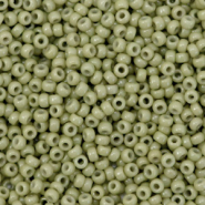 Rocailles Miyuki 11/0 Duracoat opaque cactus green 11-4474