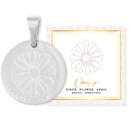 Mix & Match ciondoli in acciaio inossidabile 15 mm Birth flower April-Daisy argento