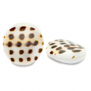 Perline di conchiglia 20mm bianco marrone