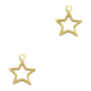 Ciondoli in acciaio inossidabile stella oro