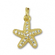 Metallo TQ in ottone ciondolo stella marina oro