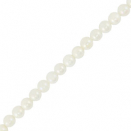 Perline di conchiglia tonda bianco