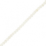 Perline di conchiglia tonda bianco