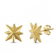 Orecchini in acciaio inossidabile stella oro