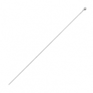 Chiodini a pallina di metallo DQ 50mm argento antico (privo di nichel)