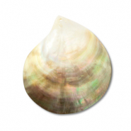 Pendenti di conchiglia di madreperla bianco (colore naturale)-marrone chiaro-marrone scuro