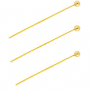 BY31® Componenti in acciaio inossidabile chiodini a testa pallina 35mm oro