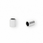 Componenti in acciaio inossidabile terminale &Oslash;2.5mm argento