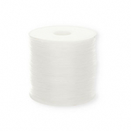 Filo infilaperle nylon 1 mm trasparente