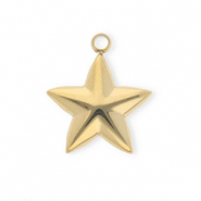Ciondoli in acciaio inossidabile stella oro