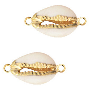 Perline di conchiglia prodotti speciali distanziatore conchiglia ciprea beige crema-oro