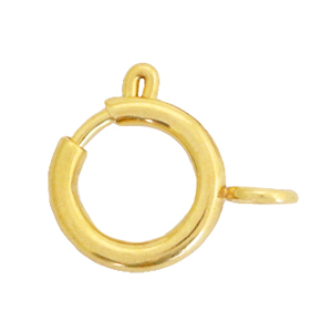 Componenti in acciaio inossidabile chiusura 12x14mm oro
