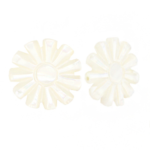 Perline di conchiglia sole bianco (colore naturale)