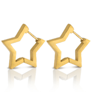 Orecchini in acciaio inossidabile stella oro