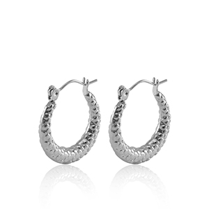 Orecchini in acciaio inossidabil a cerchio 20mm argento