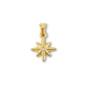 Ciondoli in acciaio inossidabile stella oro