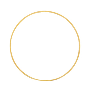 Componenti di metallo DQ anellino chiuso 30mm oro (privo di nichel)