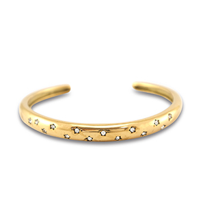 Bracciali in acciaio inossidabile bangle oro
