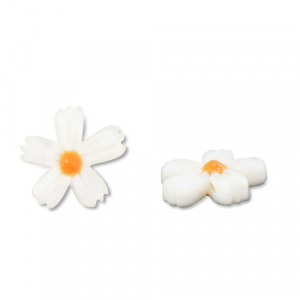 Perline di conchiglia fiore bianco (colore naturale)-arancione