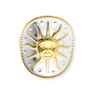 Anelli in acciaio inossidabile sole argento-oro