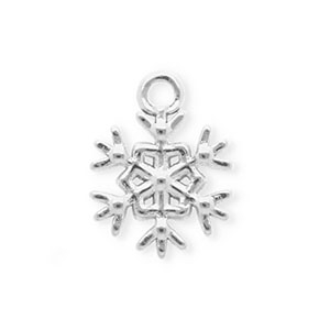 Ciondoli in acciaio inossidabile fiocco di neve argento